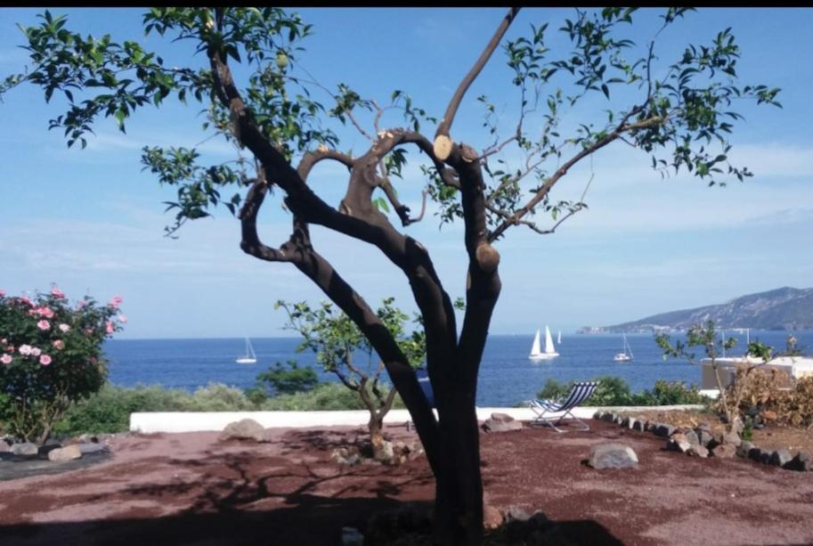 Villa Insolia Santa Marina Salina Quarto foto
